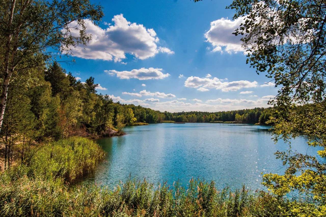 krajobraz jezioro lubuskie las