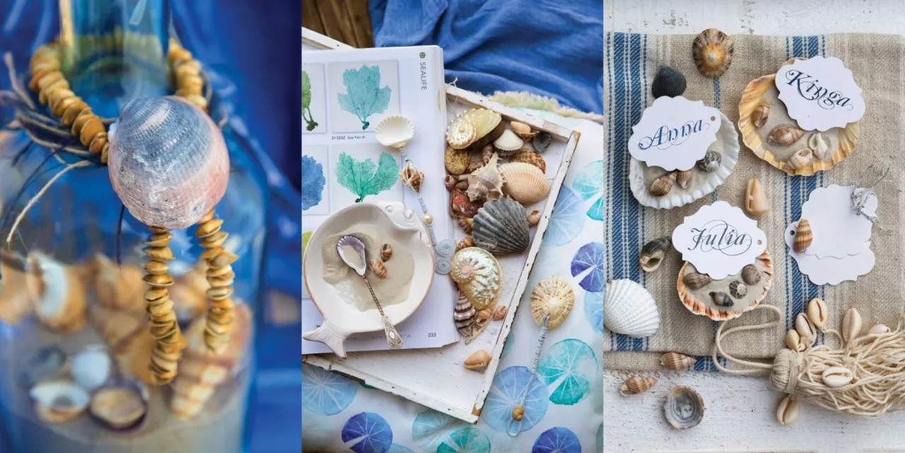 Zdjęcie Jak wykorzystać muszelki do zdjęć i stworzyć unikalne dekoracje