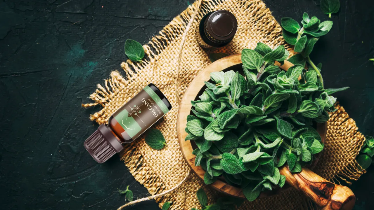 Świeży oregano w drewnianej misce i buteleczka olejku. Poznaj, jak zrobić olej z oregano.