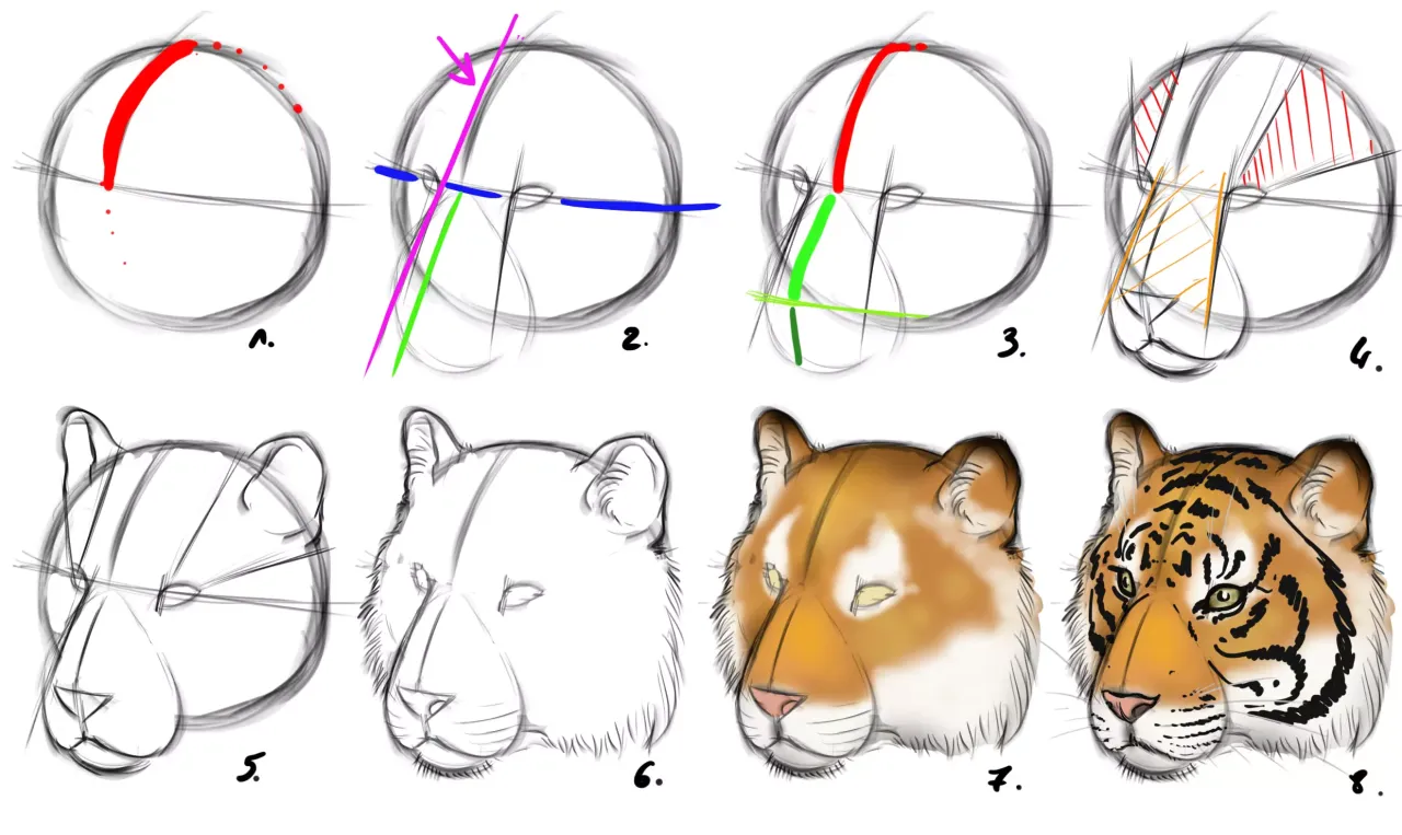 Tigerkopf zeichnen verschiedene Ausdr&uuml;cke