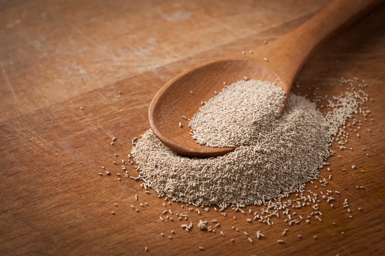 Granulat drożdży piwnych na drewnianej łyżce. Warto znać drożdże piwne przeciwwskazania, zanim zaczniemy suplementację.