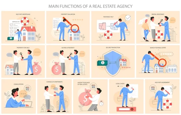 Zakres usług agenta nieruchomości infografika