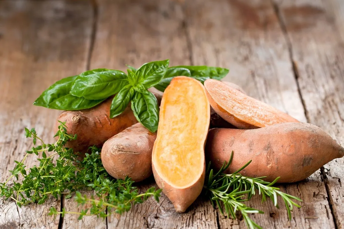 tabela porównawcza bataty ziemniaki wartości odżywcze