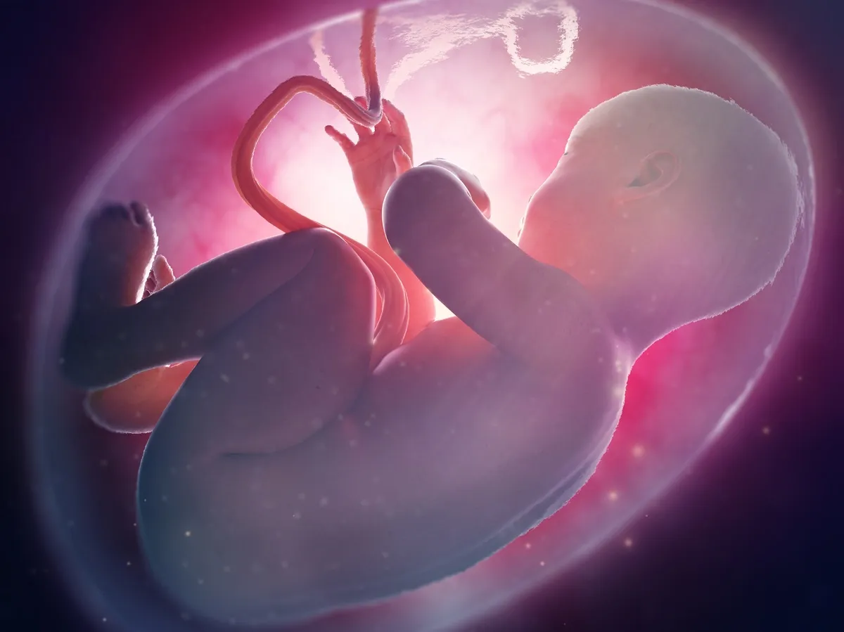 pł&oacute;d w macicy, płyn owodniowy, ochrona