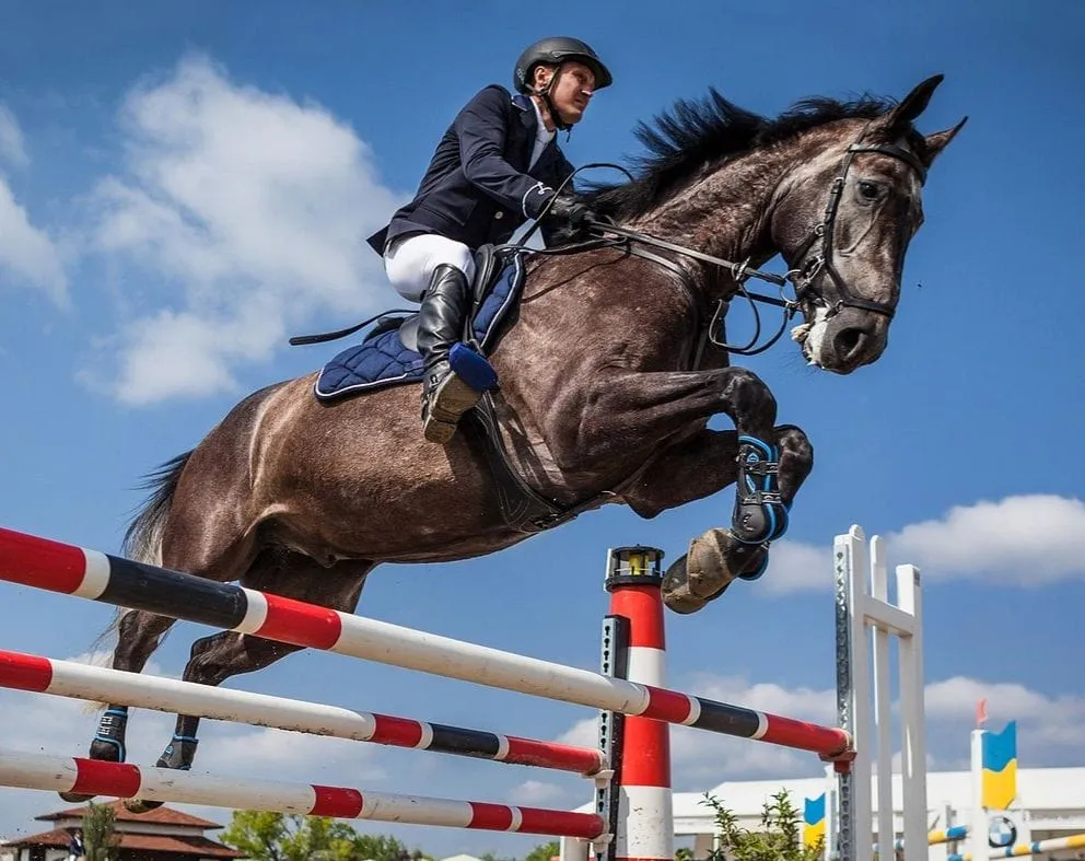 dzieci na koniach lubelska fundacja jeździectwa