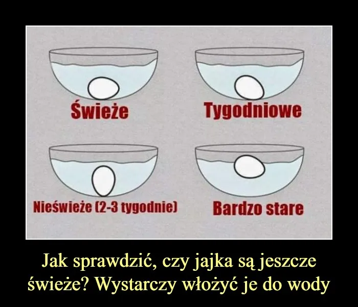 test świeżości jajka w wodzie