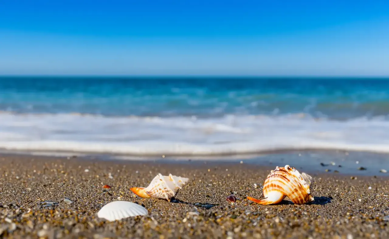 Kontrola celna na lotnisku w Hiszpanii