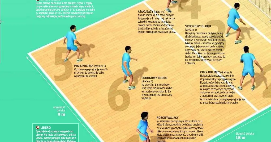 pozycje siatkówka boisko