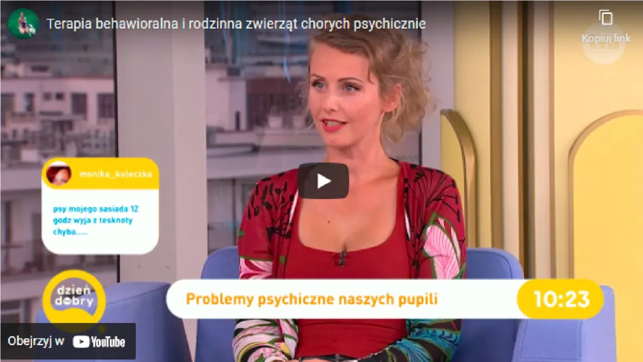 Zdjęcie Choroby psychiczne u psów objawy – jak je rozpoznać i pomóc psu