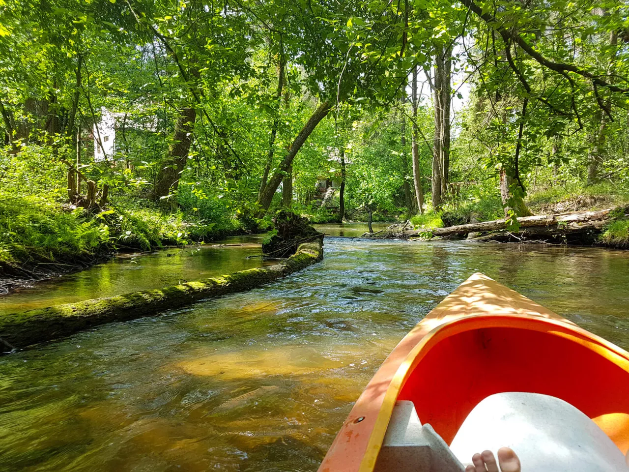 Spływ kajakowy Tanew krajobraz rzeki Roztocze