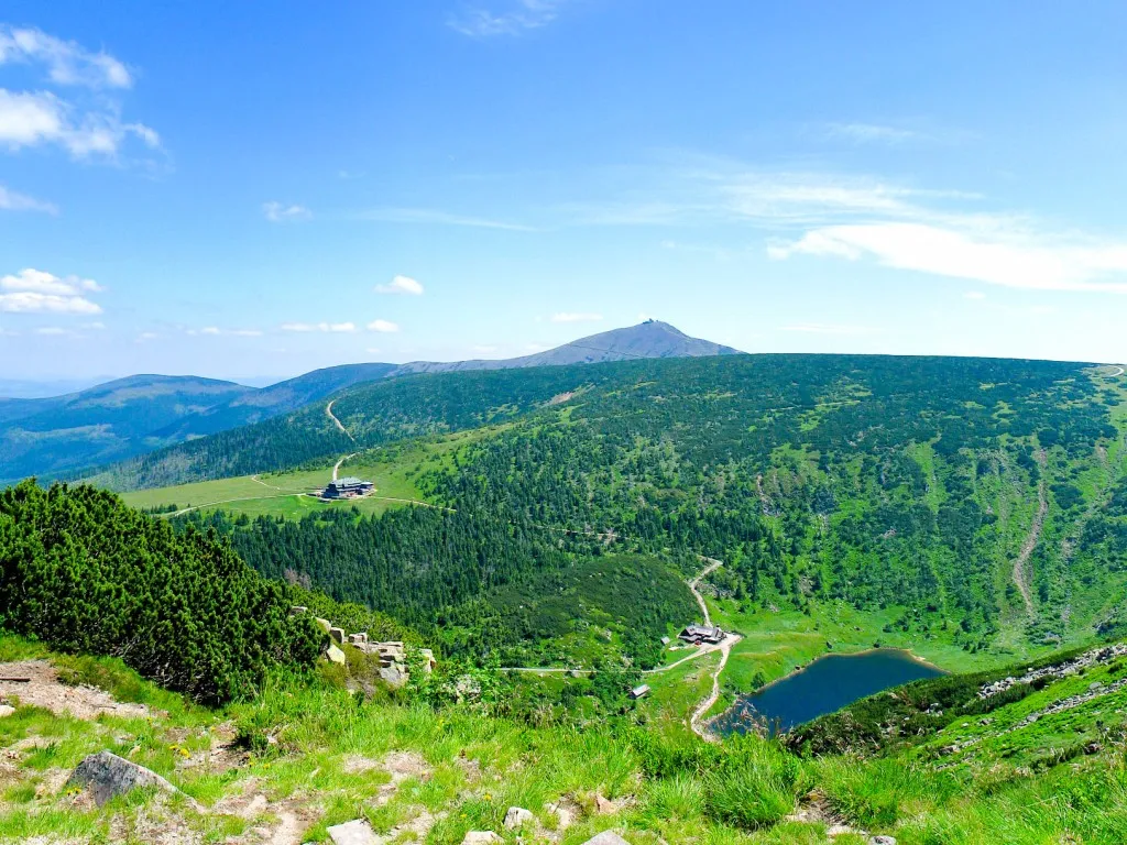Karkonoski krajobraz z ziołami i lasem