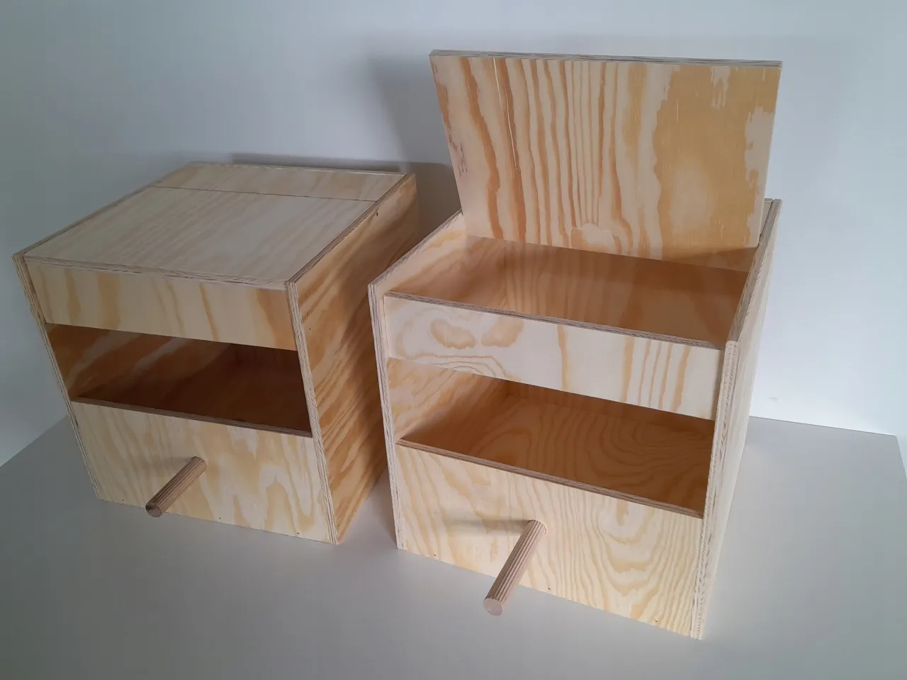 Papuga w budce lęgowej