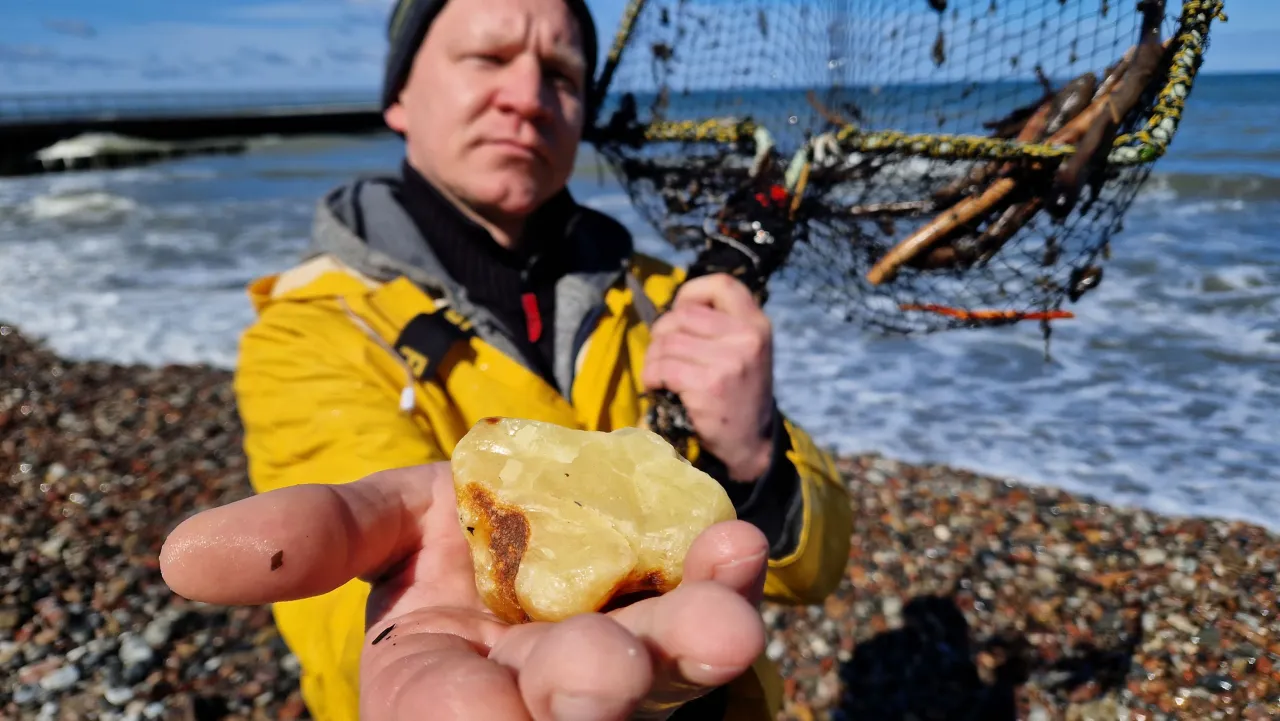 Poszukiwanie bursztynu na plaży po sztormie