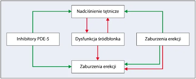 mechanizm działania leków na potencję schemat