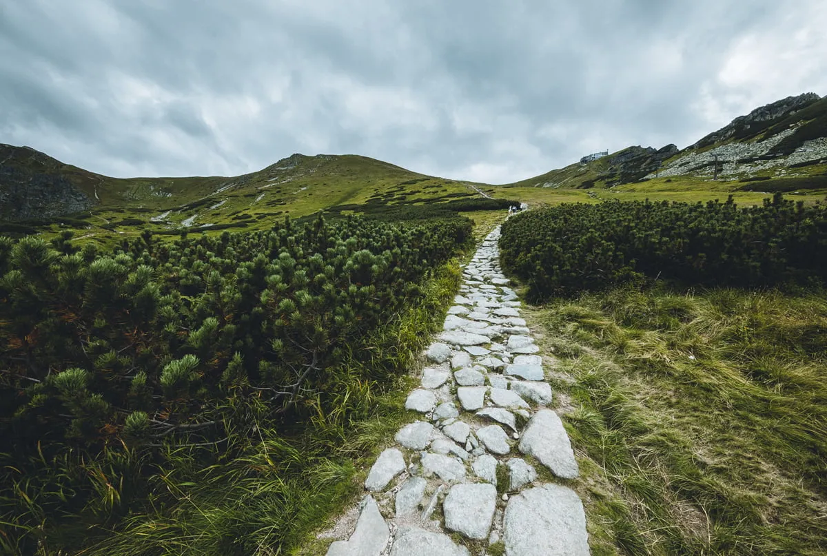 Hala Gąsienicowa widok na Kasprowy Wierch szlaki
