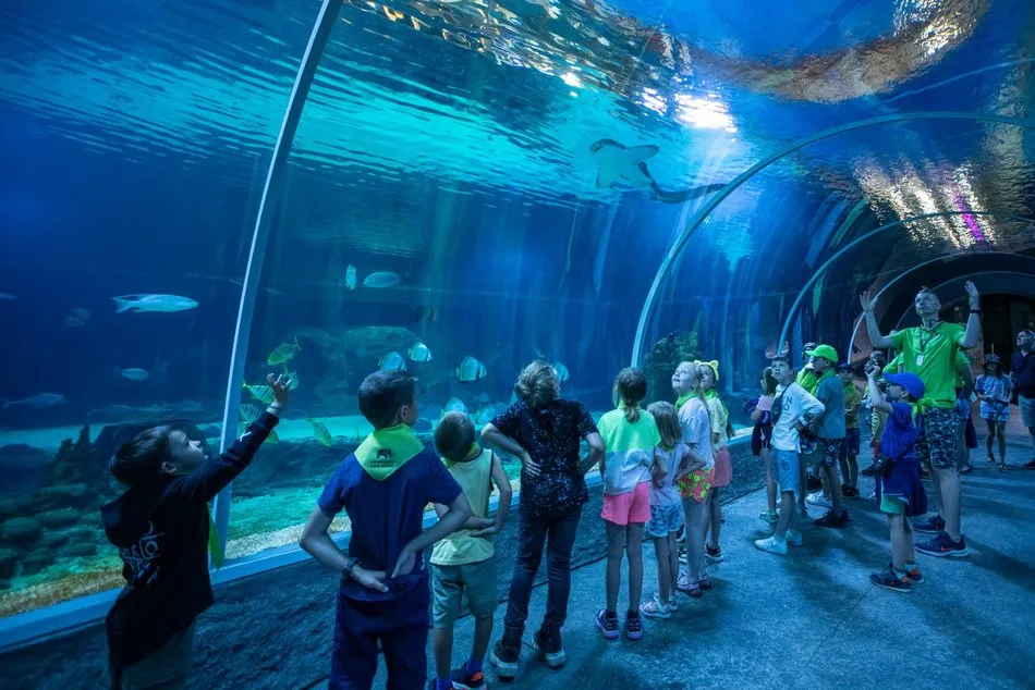 Orientarium ZOO Łódź wnętrze