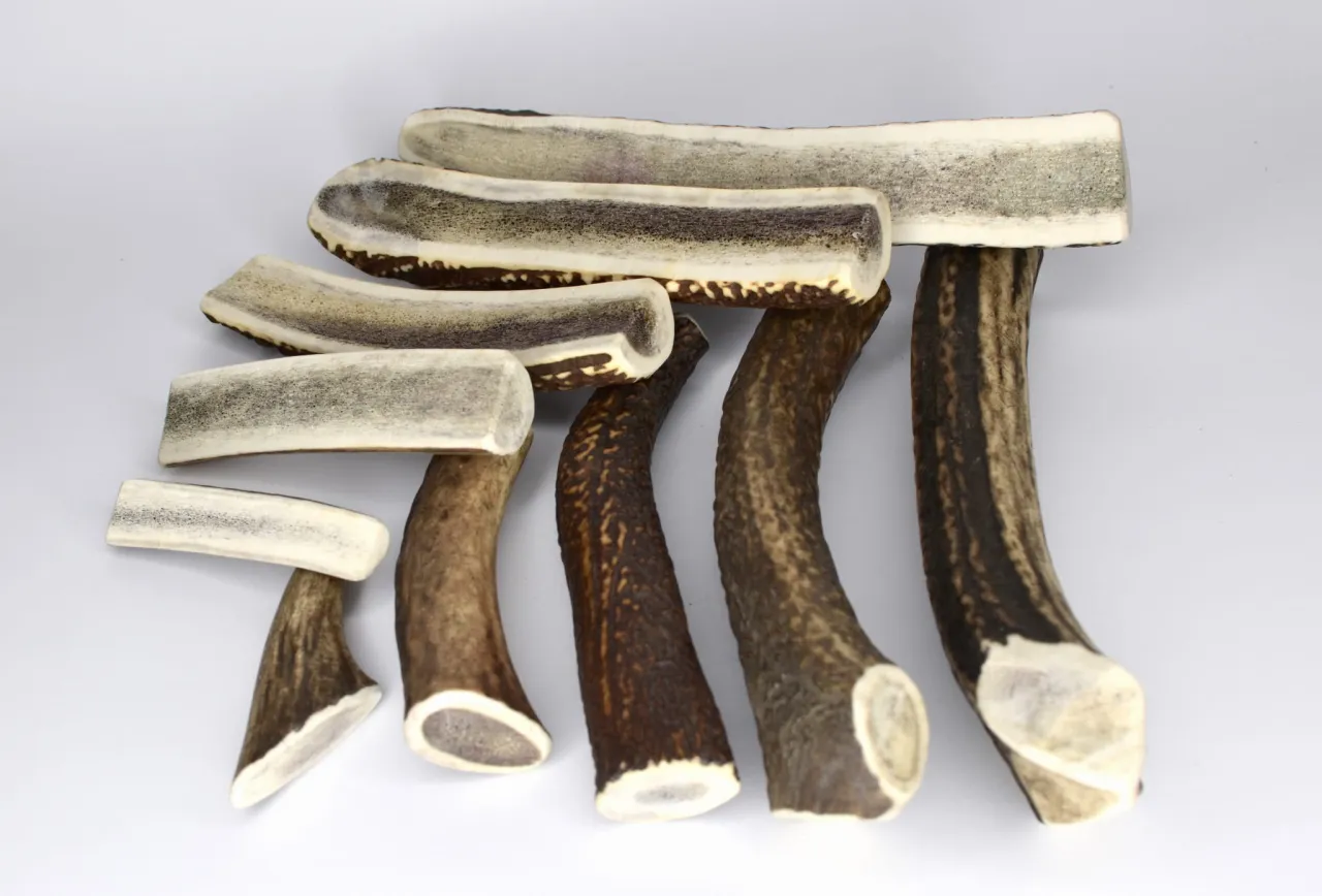 poroże jelenia gryzak dla psa