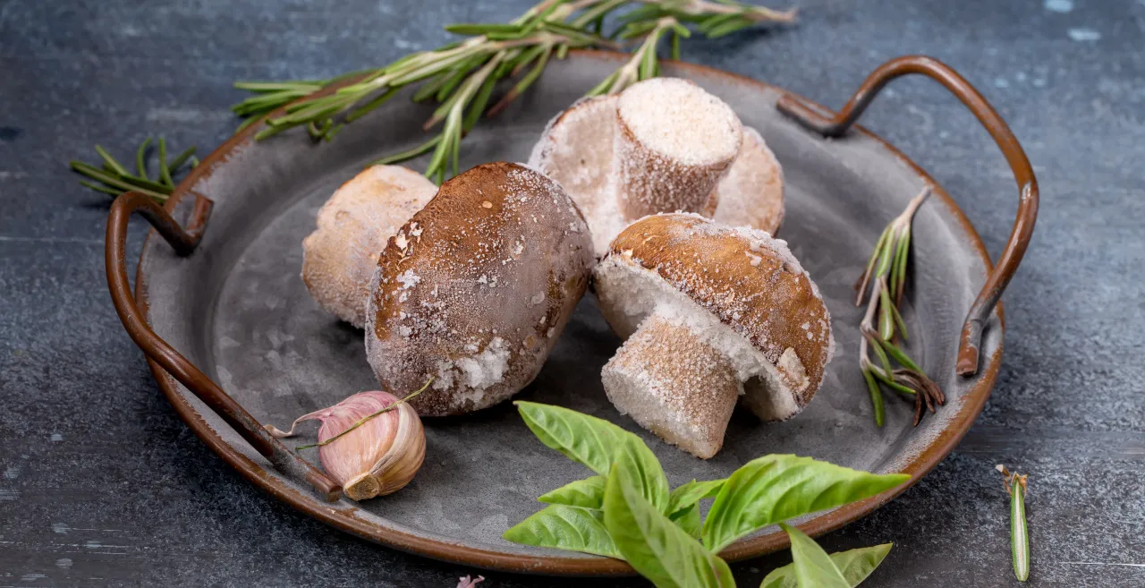 świeże grzyby do mrożenia