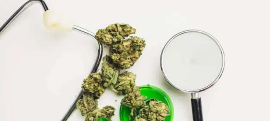 Zastosowania medycznej marihuany w leczeniu