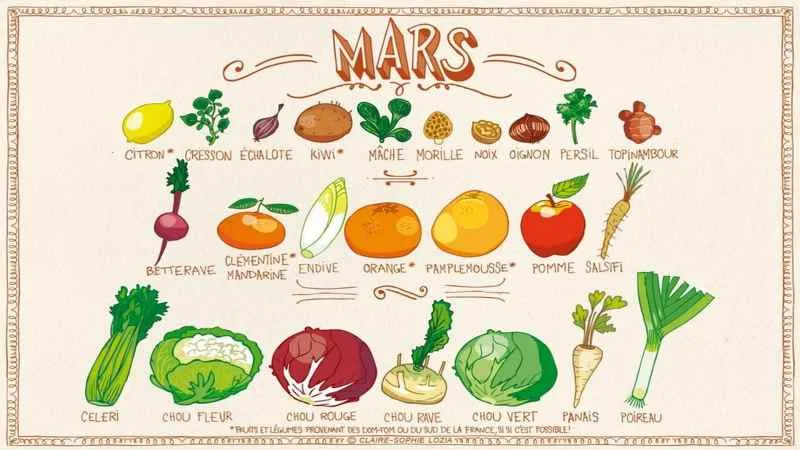 Tableau l&eacute;gumes riches en eau f&eacute;culents go&ucirc;t prononc&eacute; cuisine