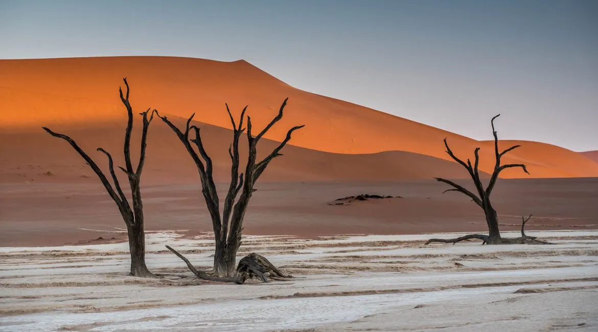 Uschnięte akacje Deadvlei Namibia