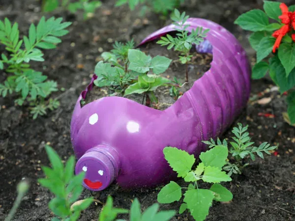 jeż z butelki jako doniczka lub ozdoba ogrodu