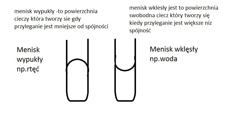 menisk wklęsły i wypukły
