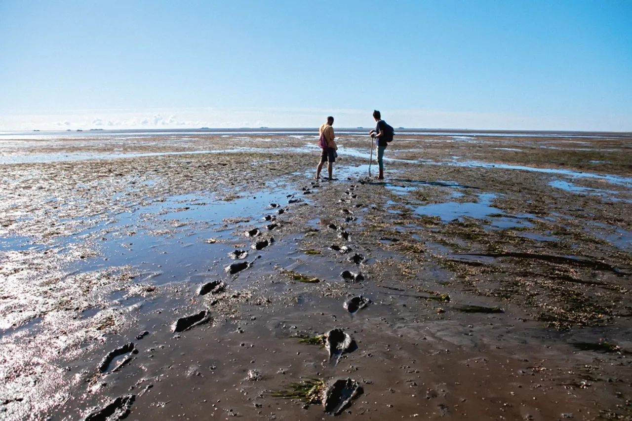 Morze Wattowe krajobraz