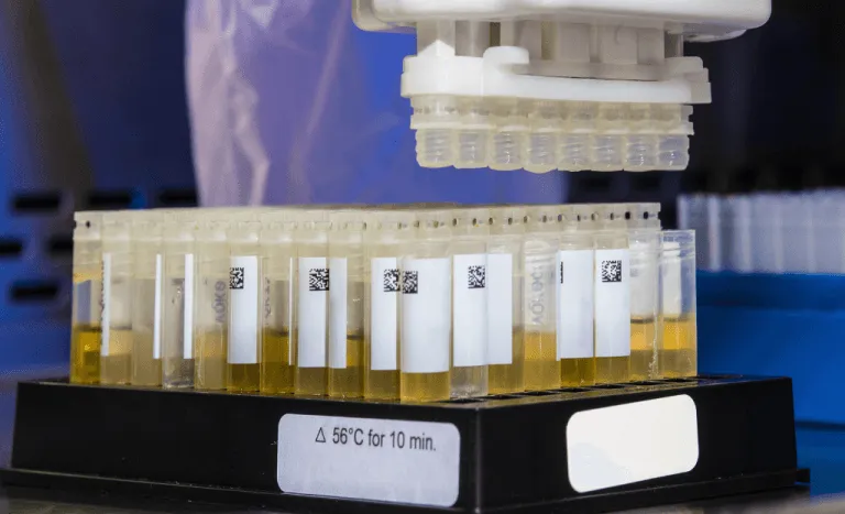 Zdjęcie Ile kosztuje test na narkotyki w laboratorium? Ceny w różnych miastach