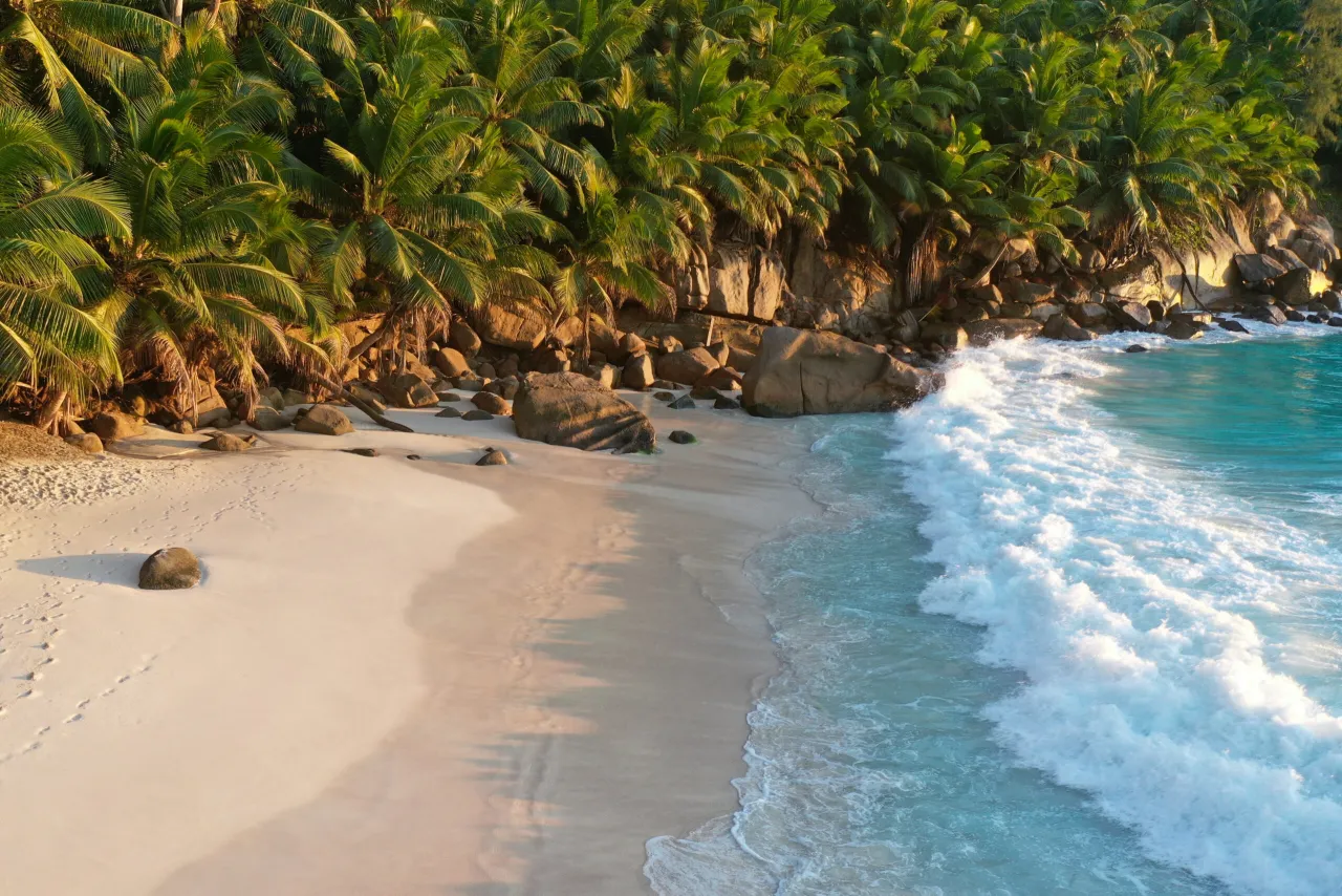 Rajska plaża z palmami i turkusową wodą. Idealny czas, kiedy najlepiej lecieć na Seszele, to okres od kwietnia do maja lub od października do listopada.