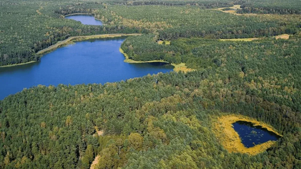 Krajobraz Borów Tucholskich z jeziorem i lasem