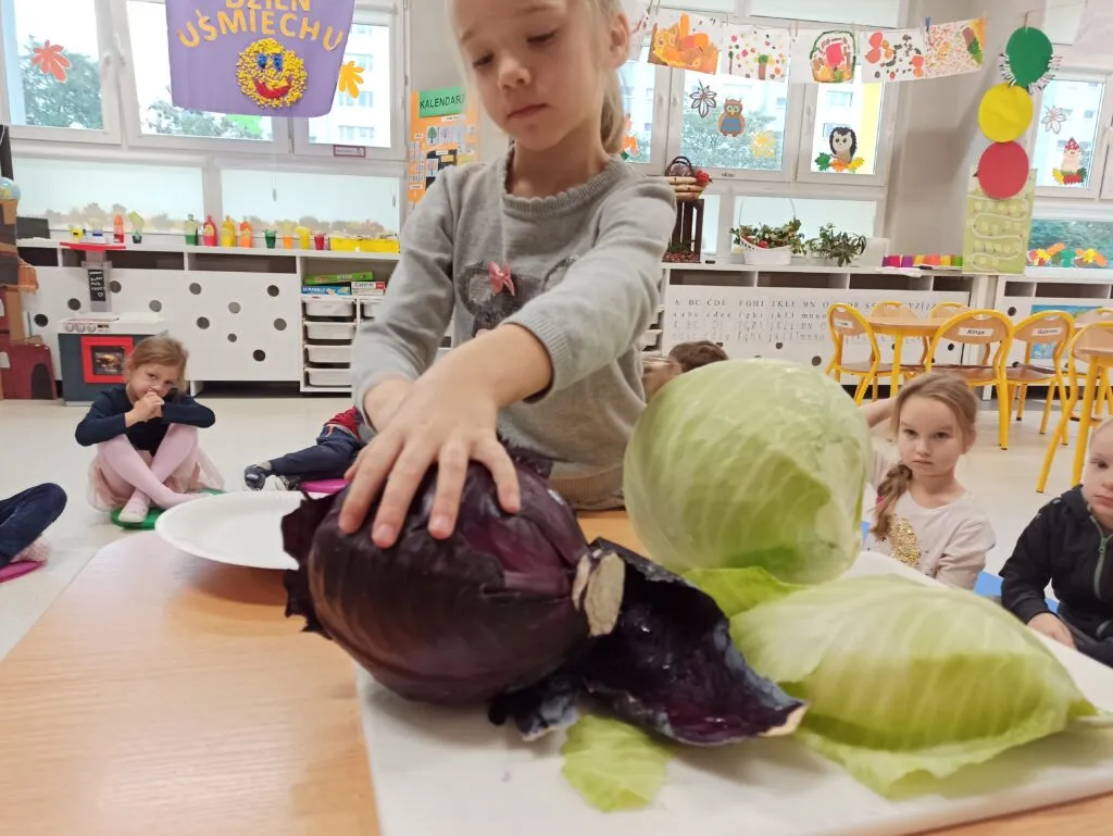 dzieci bawiące się z kolorową kapustą pekińską