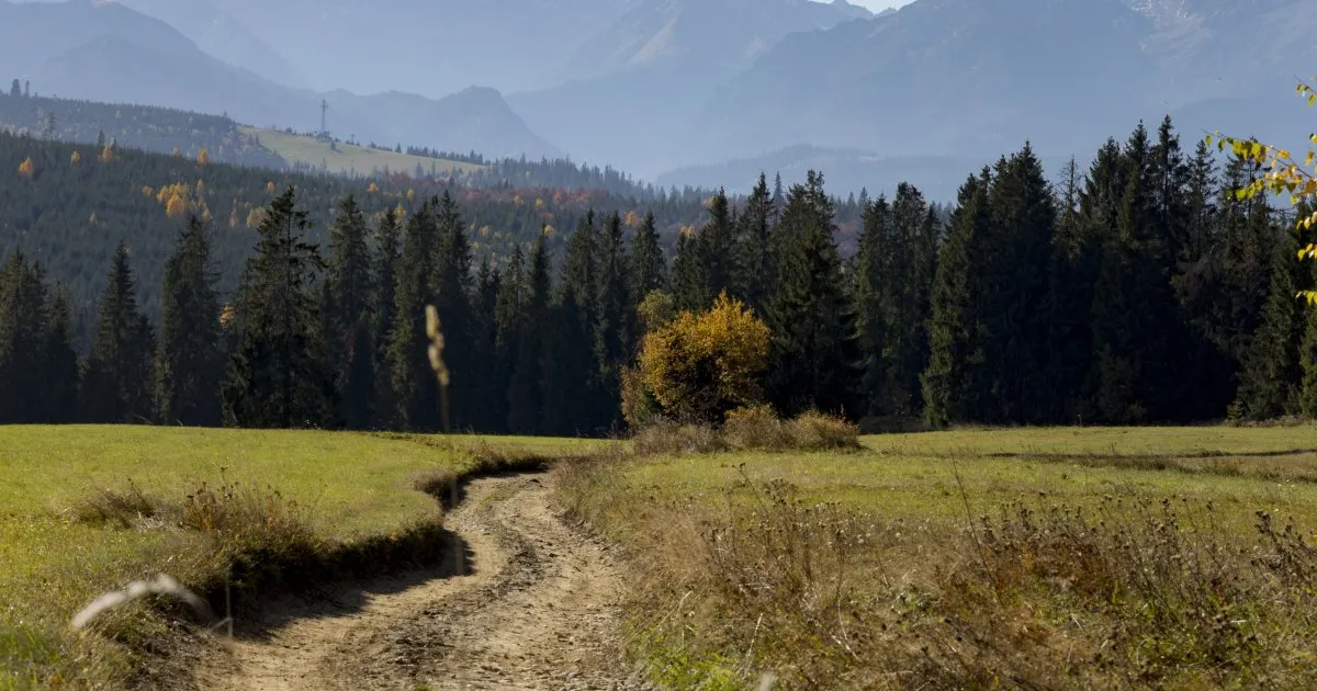 Wierch Przedomiański widok na Tatry