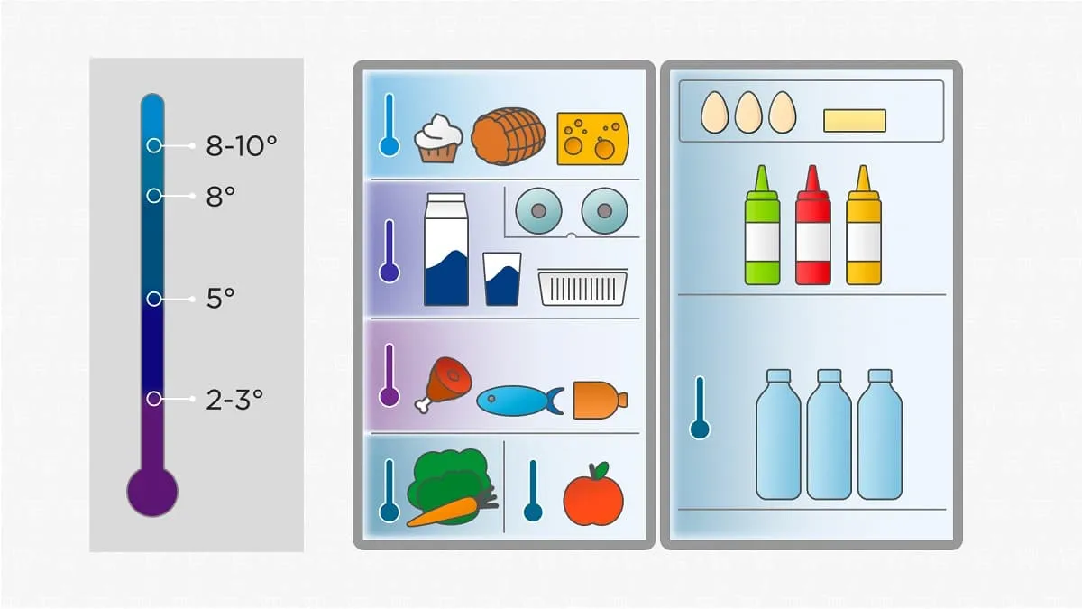 Rozmieszczenie żywności w lodówce Samsung, strefy chłodzenia lodówki