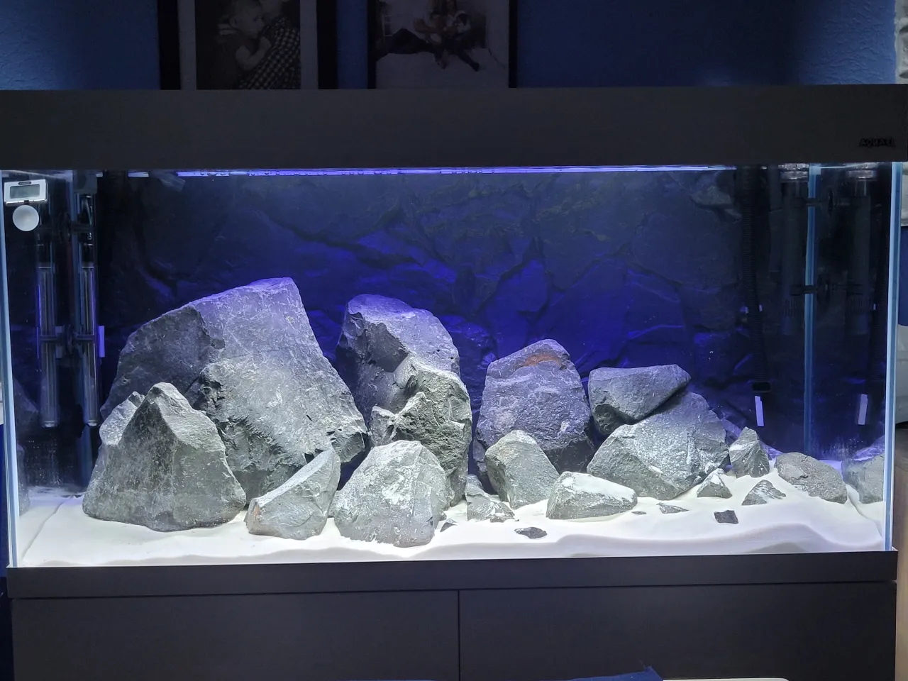 akwarium 200l inspiracje