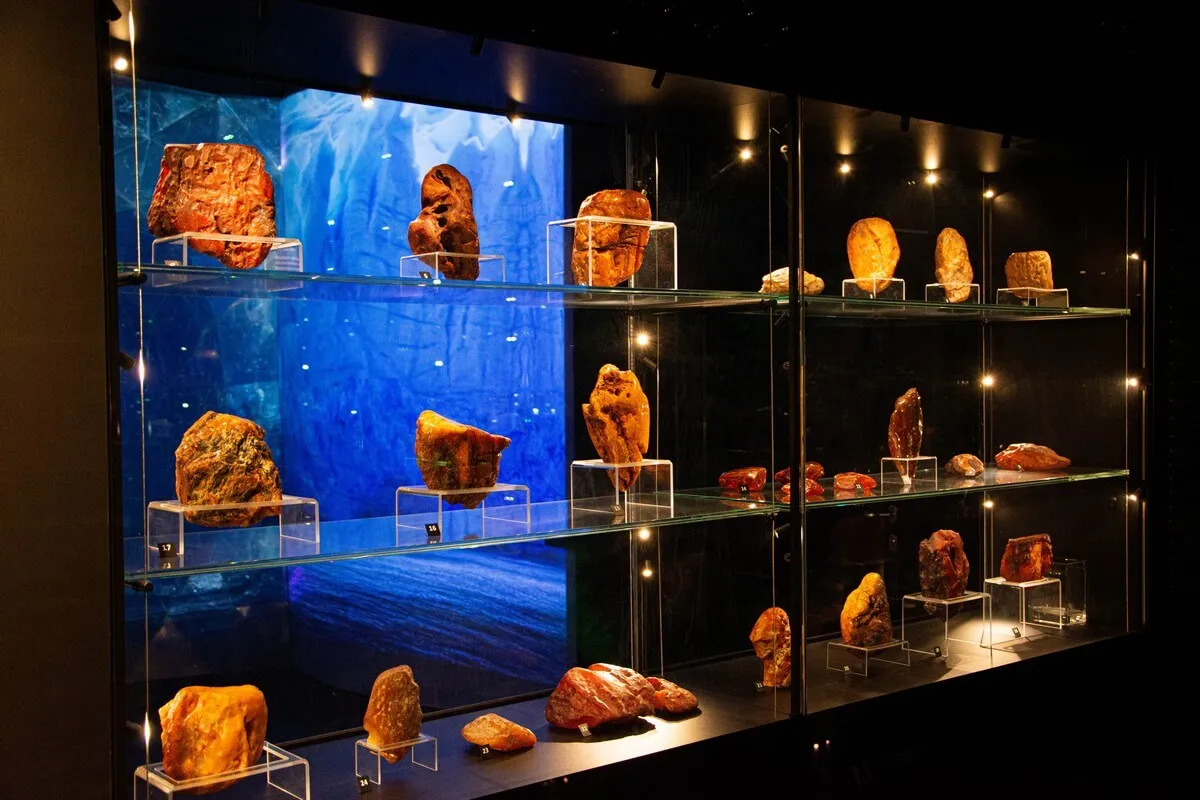 Muzeum Bursztynu Gdańsk wnętrze