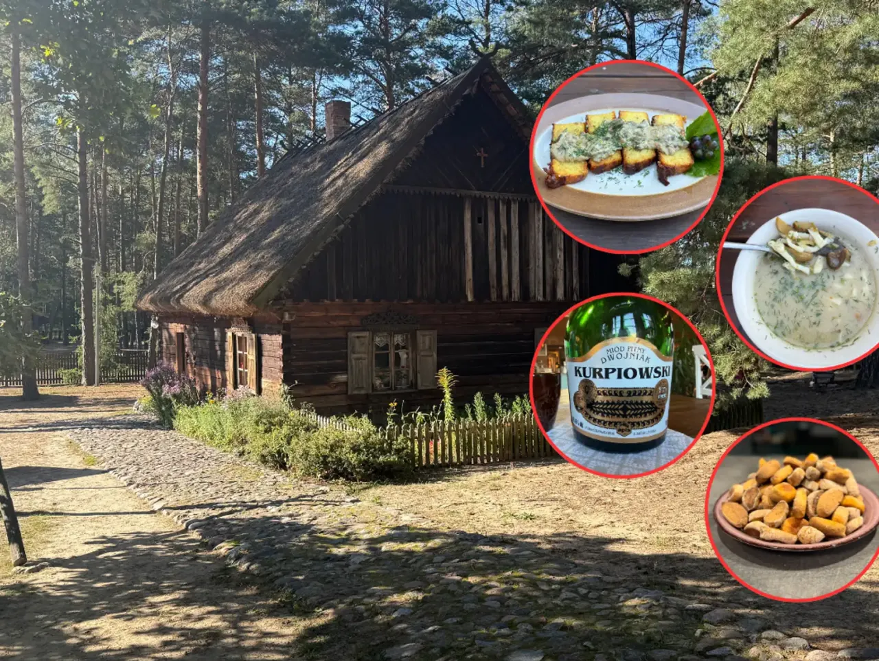 Fafernuchy rejbak Mazowsze