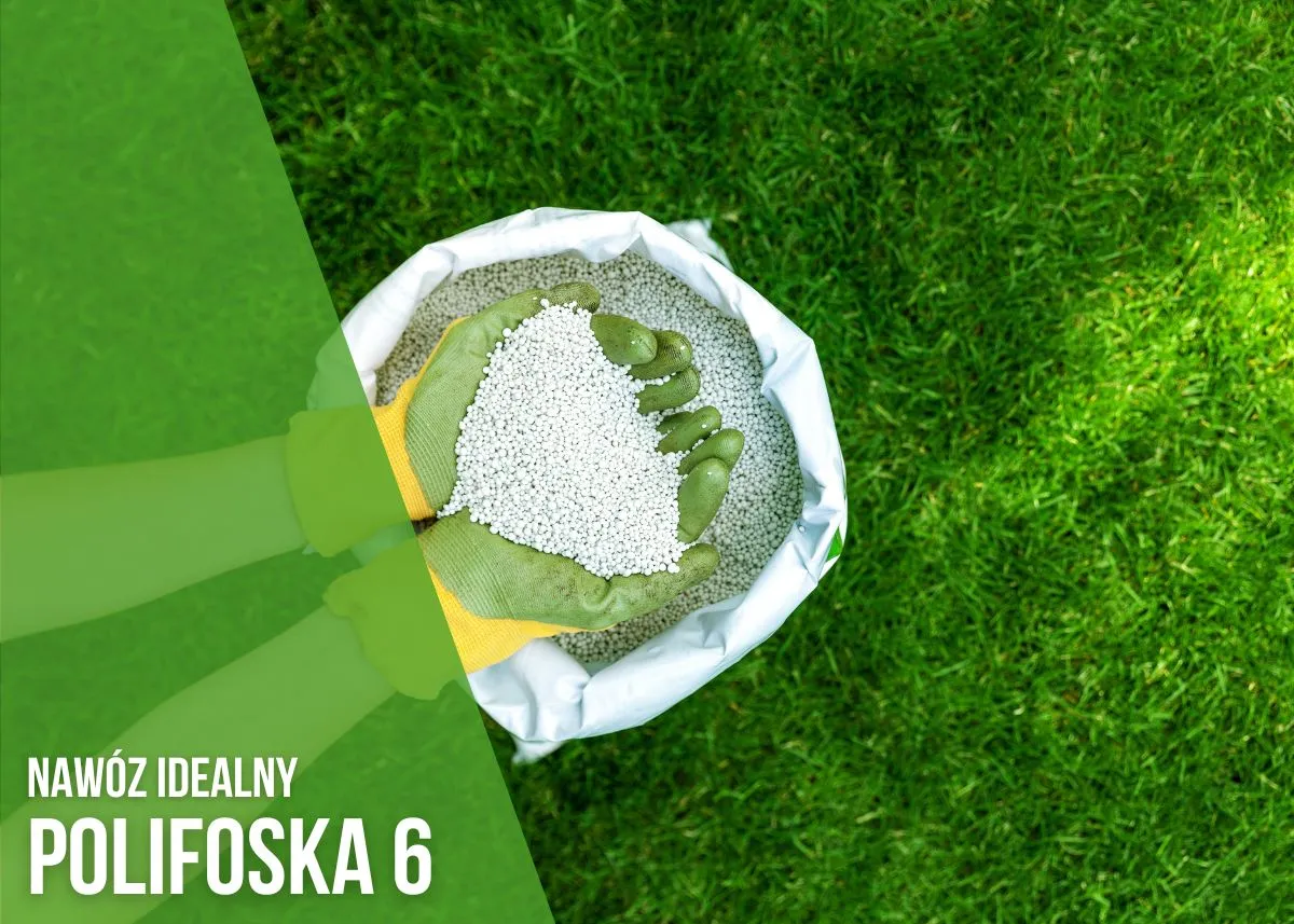 porównanie składu nawozów NPK