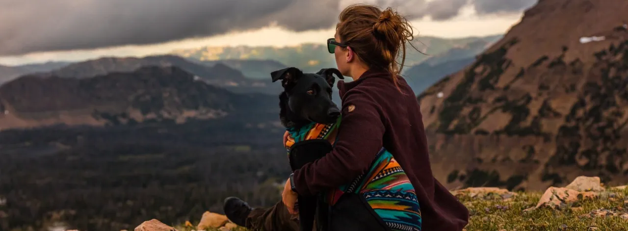pies w górach na szlaku
