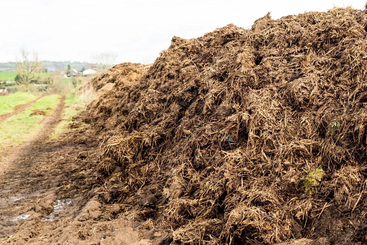 Góra obornika na polu. Czy obornik zakwasza glebę? To pytanie zadaje sobie wielu rolników, przygotowując nawóz do rozsypania.
