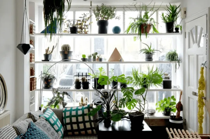 aranżacje roślin w łazience makramy p&oacute;łki