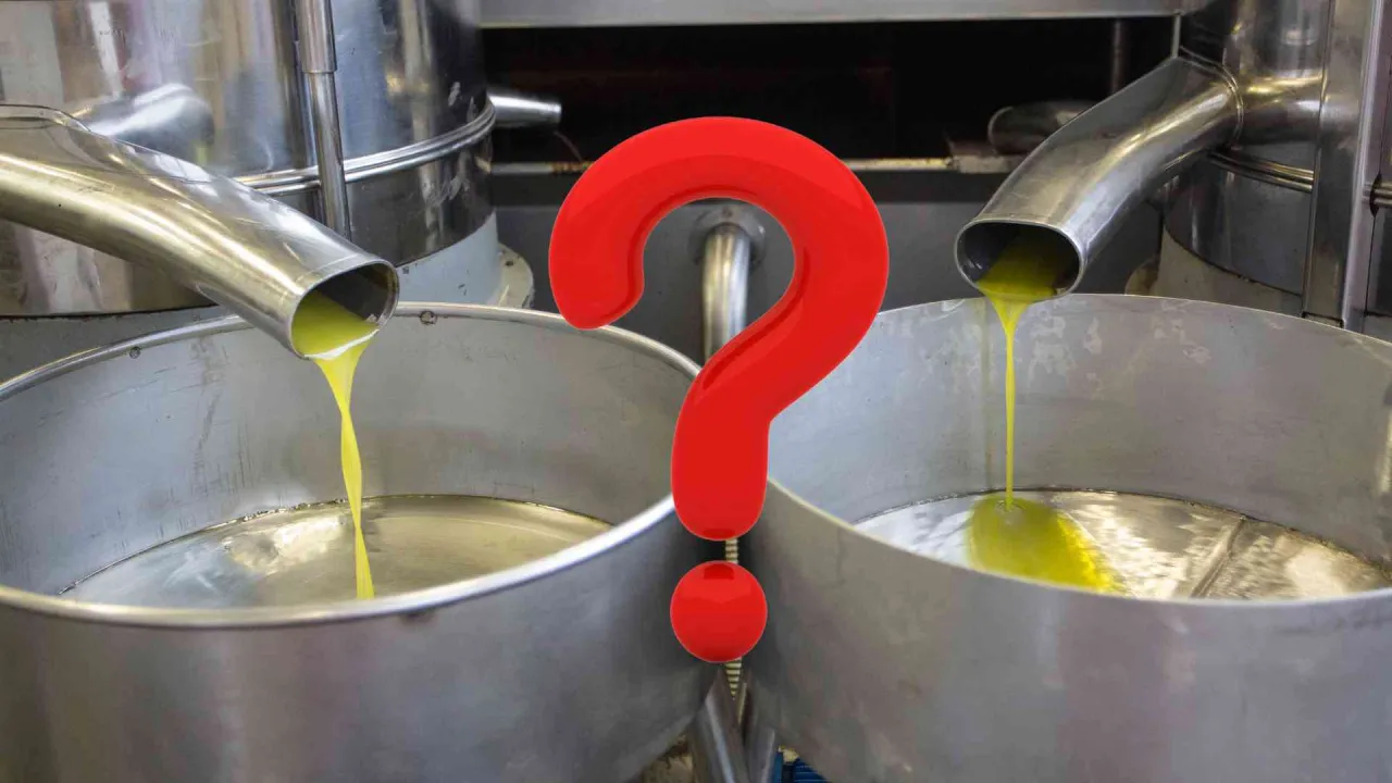 najzdrowsze oleje do sałatek ranking