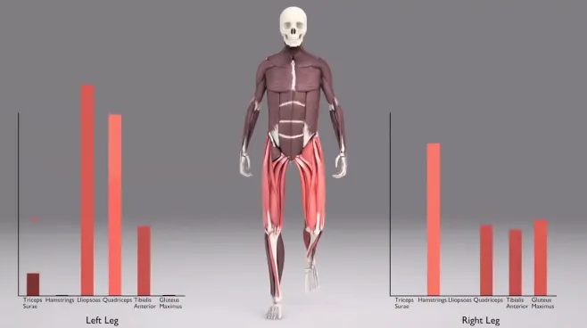 mięśnie pracujące podczas chodzenia grafika