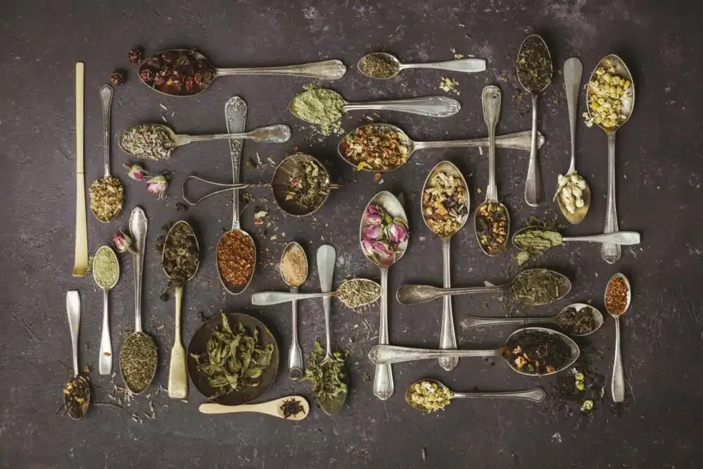 r&oacute;żne rodzaje zielonej herbaty liściastej