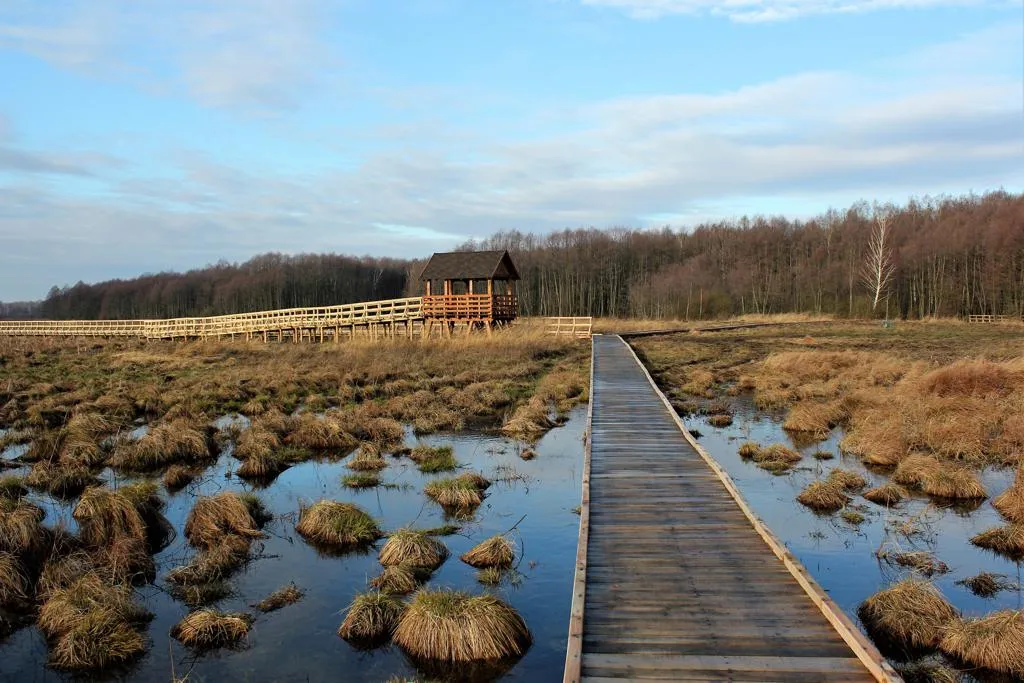 Poleski Park Narodowy ścieżki dydaktyczne