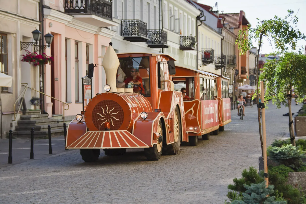 Płock atrakcje dla dzieci zoo ciuchcia