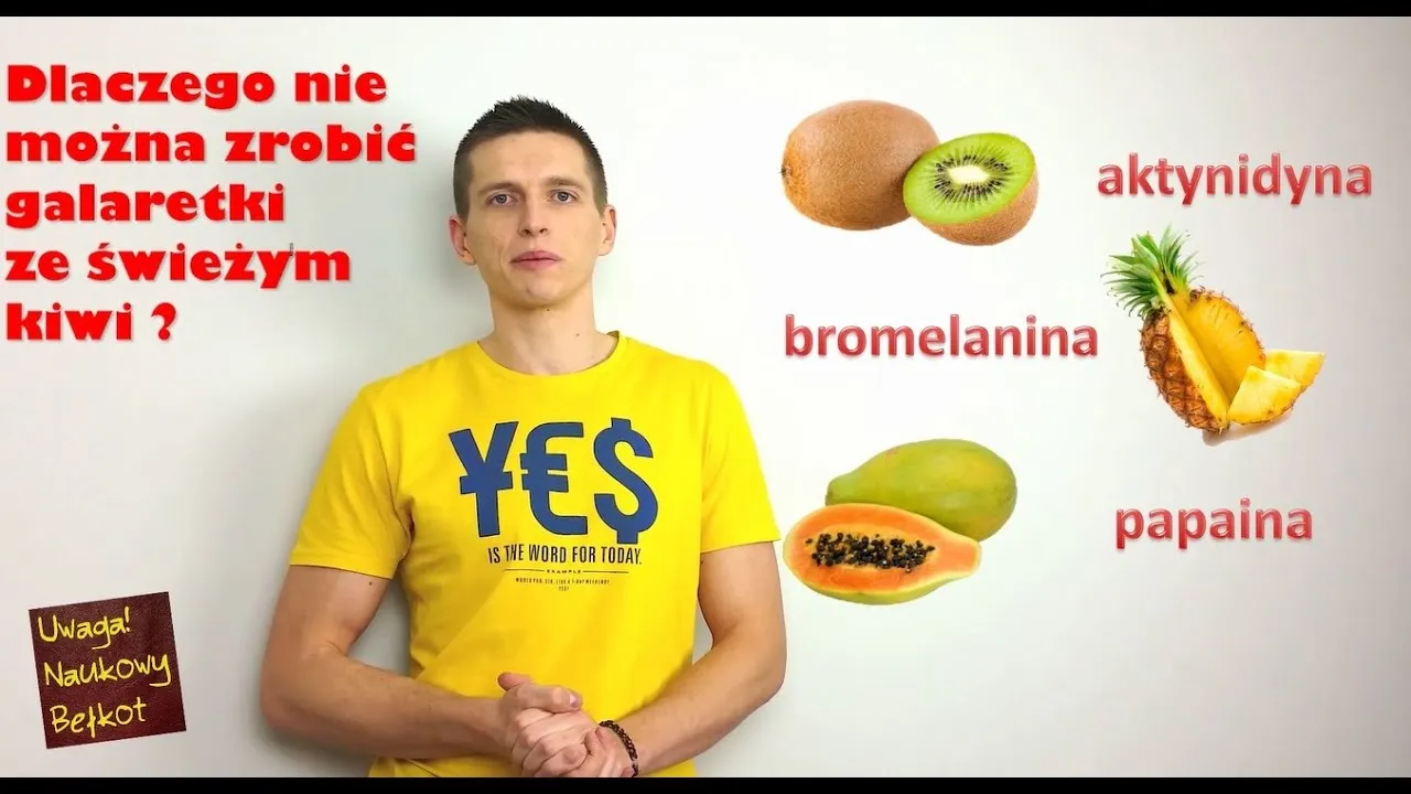 Zdjęcie Dlaczego galaretka z kiwi nie stężeje? Oto zaskakujące przyczyny