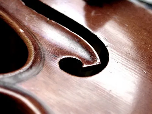 drewno rezonansowe skrzypce
