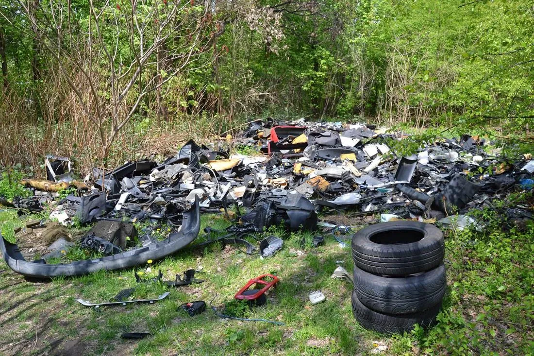 mandat za wyrzucanie śmieci, kara za zaśmiecanie lasu, nielegalne wysypisko opon