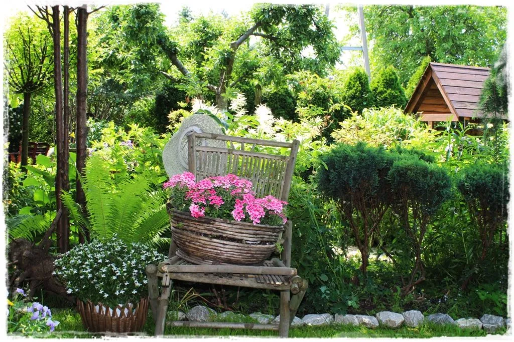 kwietnik z krzesła aranżacje roślinne